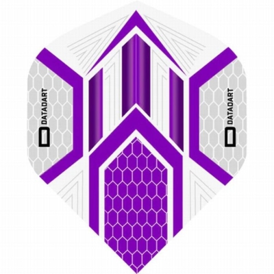 DATADART HEX Grau/Purple